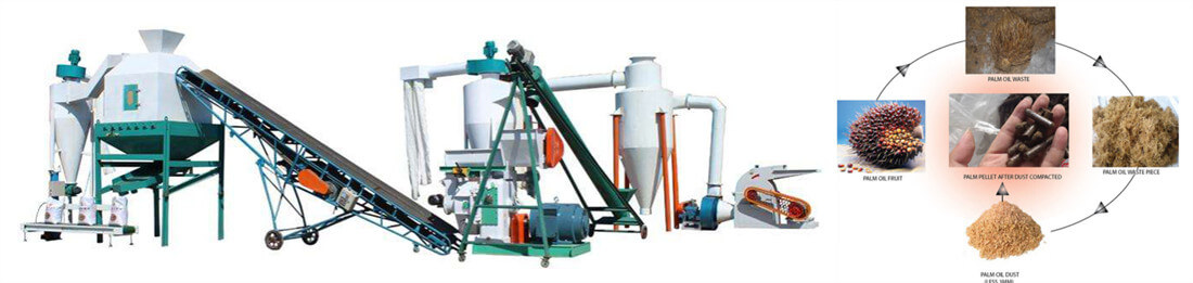 Complete Production Line of Biomass Palm Pellets