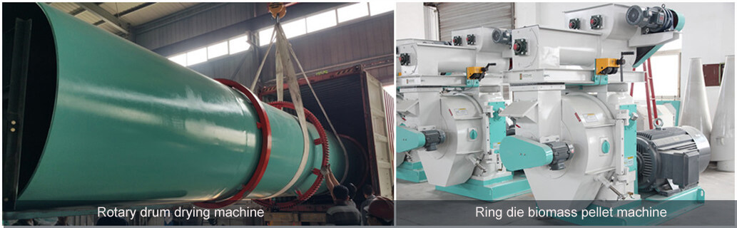 Olive Pomace drying machine and pelletizing machine