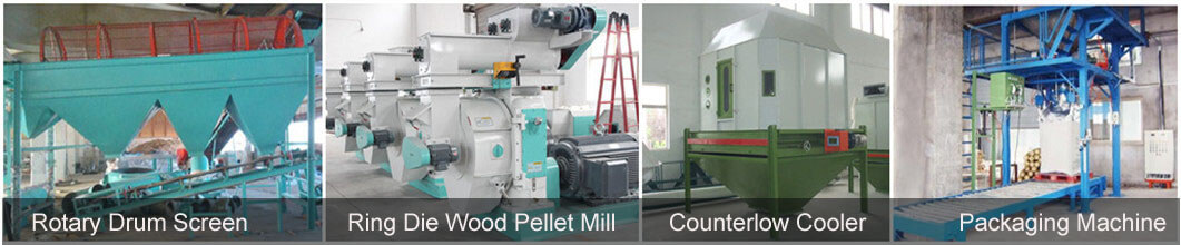main sawdust pellet making machines for large scale factory