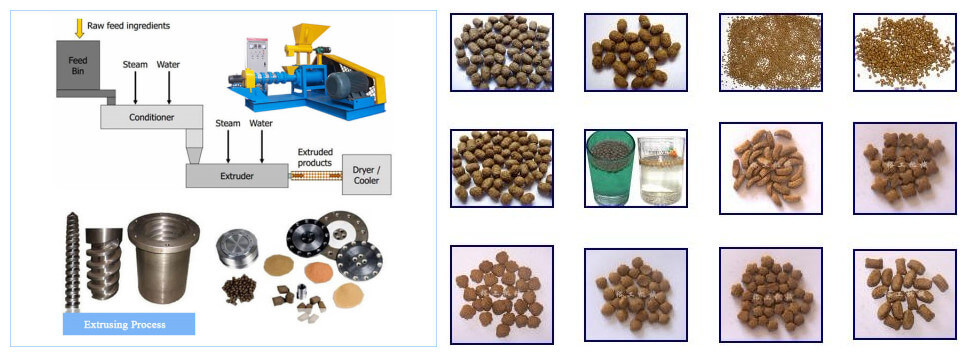 extruder machine for fish feed details