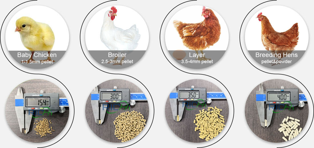 feed pellets sizes for different growing stages chicken