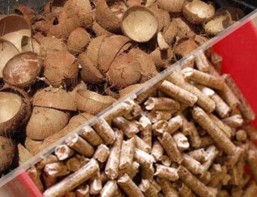 Coconut Shell Biomass Pellet Production